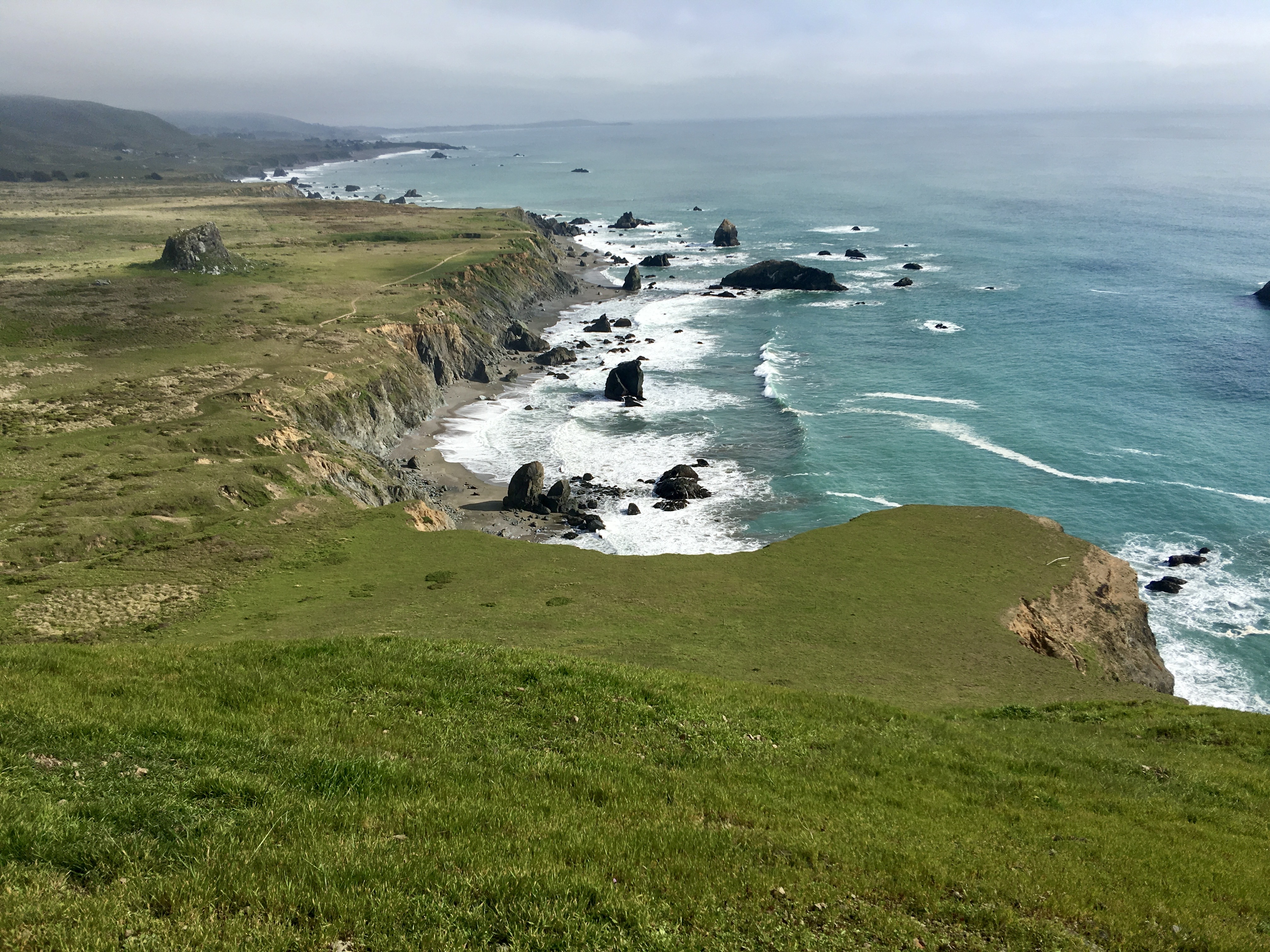 A green plain with yellow flowers running above cliffs that lead down to the ocean.