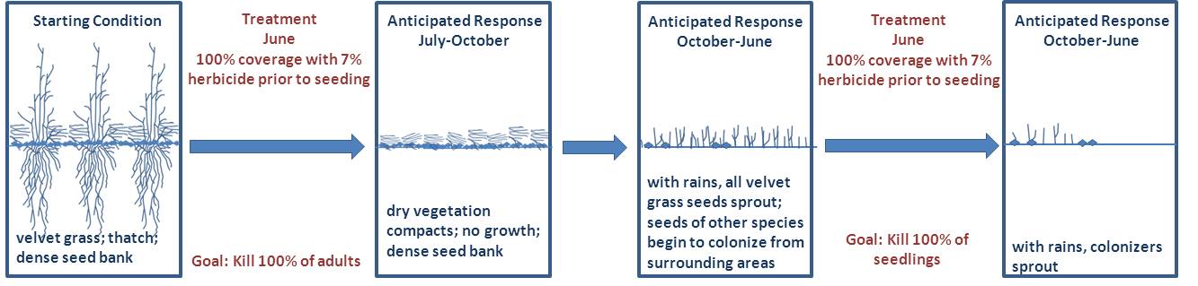 diagrams with panels showing treatments and anticipated responses